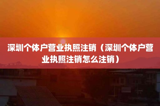 深圳个体户营业执照注销（深圳个体户营业执照注销怎么注销）