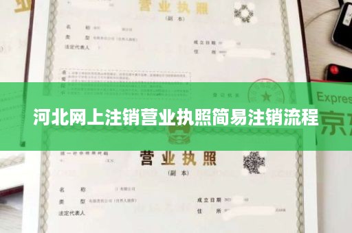 河北网上注销营业执照简易注销流程