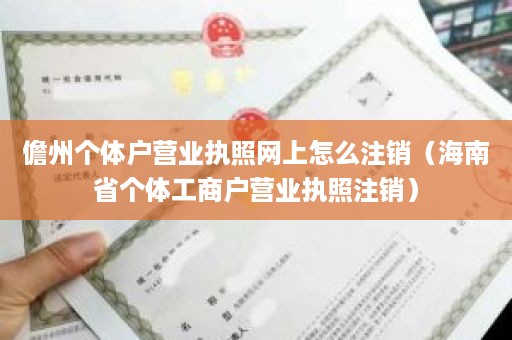 儋州个体户营业执照网上怎么注销（海南省个体工商户营业执照注销）