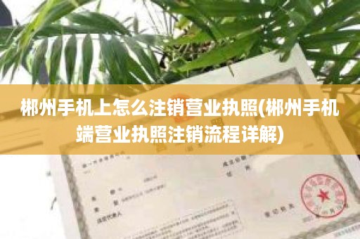 郴州手机上怎么注销营业执照(郴州手机端营业执照注销流程详解)