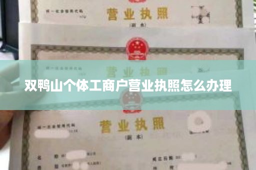 双鸭山个体工商户营业执照怎么办理