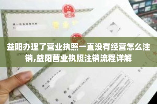 益阳办理了营业执照一直没有经营怎么注销,益阳营业执照注销流程详解