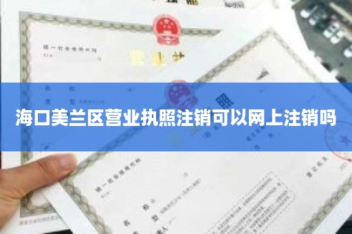 海口美兰区营业执照注销可以网上注销吗