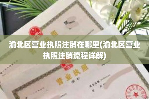 渝北区营业执照注销在哪里(渝北区营业执照注销流程详解)