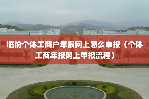 临汾个体工商户年报网上怎么申报（个体工商年报网上申报流程）