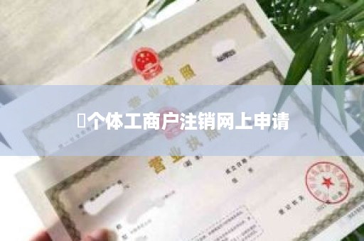 ​个体工商户注销网上申请