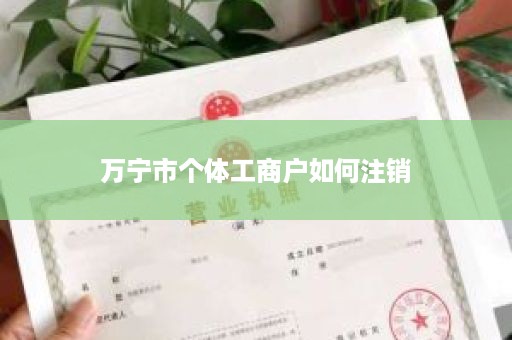 万宁市个体工商户如何注销