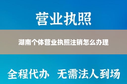 湖南个体营业执照注销怎么办理