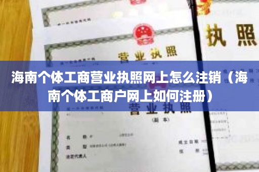 海南个体工商营业执照网上怎么注销（海南个体工商户网上如何注册）