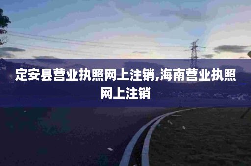 定安县营业执照网上注销,海南营业执照网上注销
