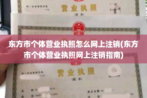 东方市个体营业执照怎么网上注销(东方市个体营业执照网上注销指南)