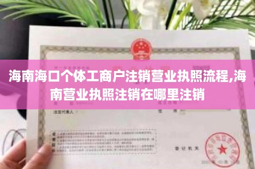 海南海口个体工商户注销营业执照流程,海南营业执照注销在哪里注销