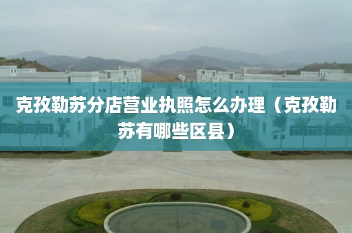 克孜勒苏分店营业执照怎么办理（克孜勒苏有哪些区县）