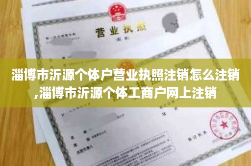 淄博市沂源个体户营业执照注销怎么注销,淄博市沂源个体工商户网上注销