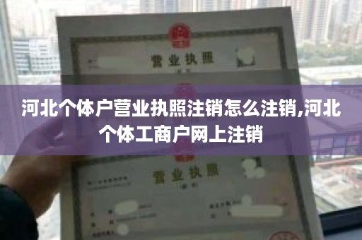 河北个体户营业执照注销怎么注销,河北个体工商户网上注销