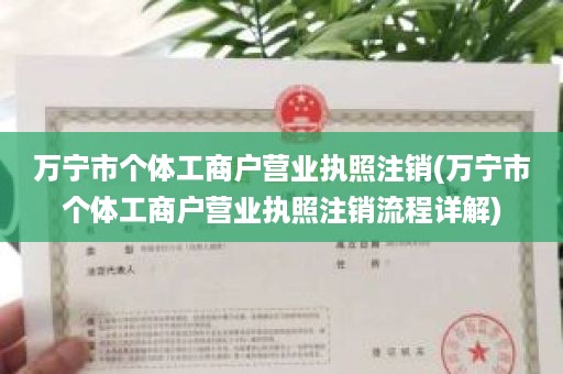 万宁市个体工商户营业执照注销(万宁市个体工商户营业执照注销流程详解)
