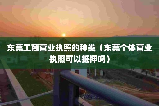 东莞工商营业执照的种类（东莞个体营业执照可以抵押吗）