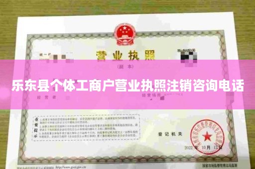乐东县个体工商户营业执照注销咨询电话