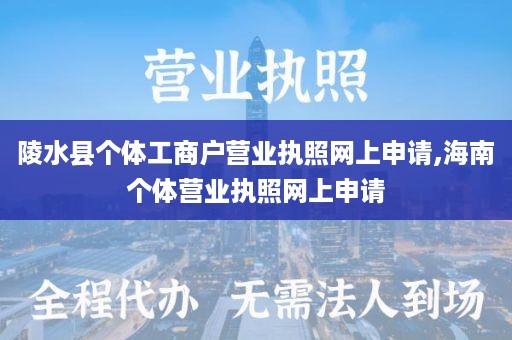 陵水县个体工商户营业执照网上申请,海南个体营业执照网上申请