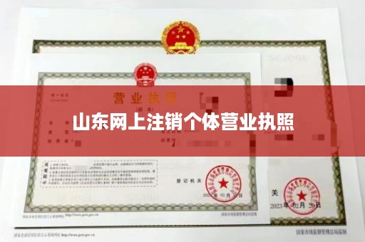 山东网上注销个体营业执照