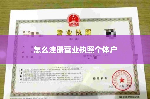 怎么注册营业执照个体户