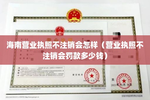 海南营业执照不注销会怎样（营业执照不注销会罚款多少钱）