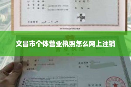 文昌市个体营业执照怎么网上注销