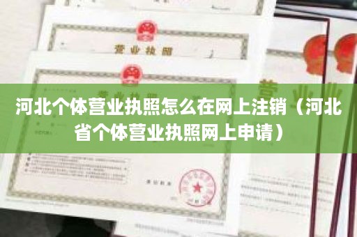 河北个体营业执照怎么在网上注销（河北省个体营业执照网上申请）