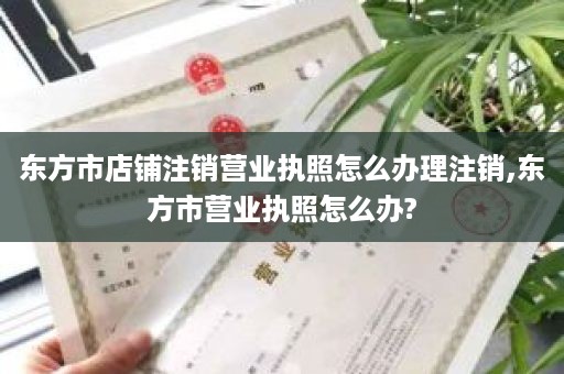 东方市店铺注销营业执照怎么办理注销,东方市营业执照怎么办?