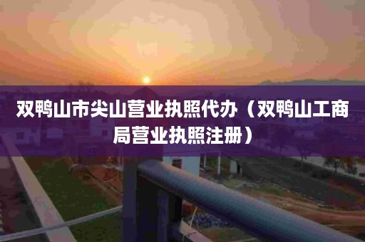 双鸭山市尖山营业执照代办（双鸭山工商局营业执照注册）