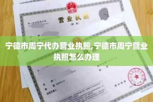 宁德市周宁代办营业执照,宁德市周宁营业执照怎么办理