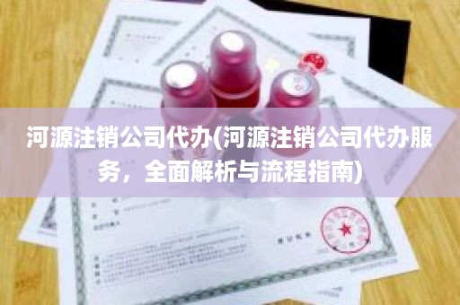 河源注销公司代办(河源注销公司代办服务，全面解析与流程指南)