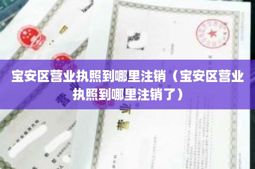 宝安区营业执照到哪里注销（宝安区营业执照到哪里注销了）