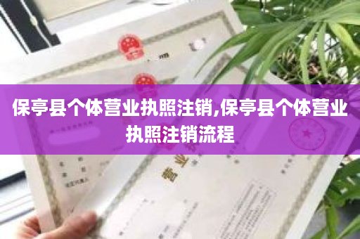 保亭县个体营业执照注销,保亭县个体营业执照注销流程