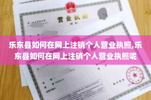乐东县如何在网上注销个人营业执照,乐东县如何在网上注销个人营业执照呢