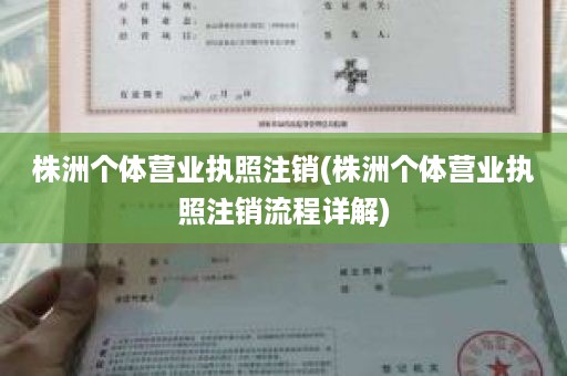 株洲个体营业执照注销(株洲个体营业执照注销流程详解)