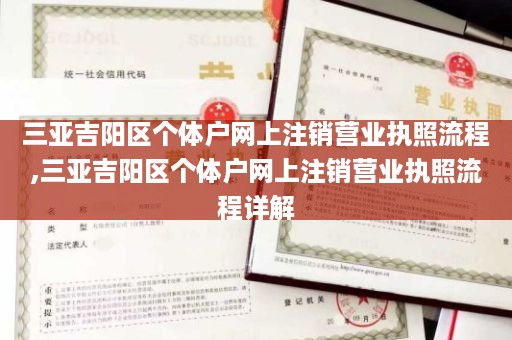 三亚吉阳区个体户网上注销营业执照流程,三亚吉阳区个体户网上注销营业执照流程详解