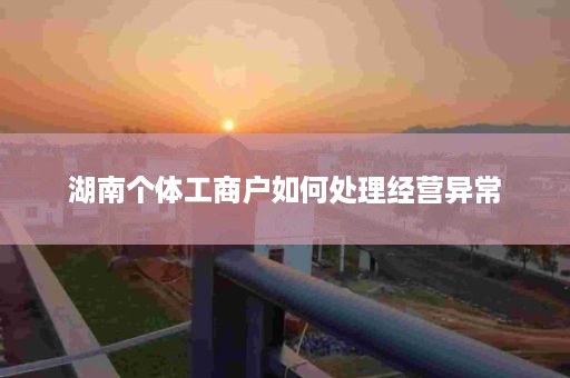 湖南个体工商户如何处理经营异常