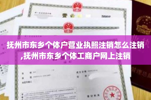 抚州市东乡个体户营业执照注销怎么注销,抚州市东乡个体工商户网上注销