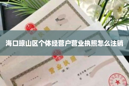 海口琼山区个体经营户营业执照怎么注销