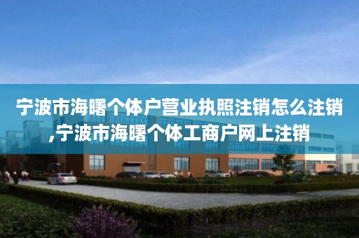 宁波市海曙个体户营业执照注销怎么注销,宁波市海曙个体工商户网上注销