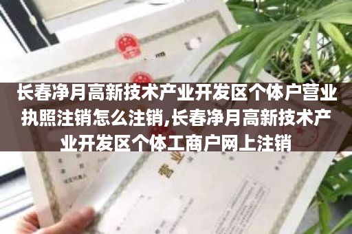 长春净月高新技术产业开发区个体户营业执照注销怎么注销,长春净月高新技术产业开发区个体工商户网上注销