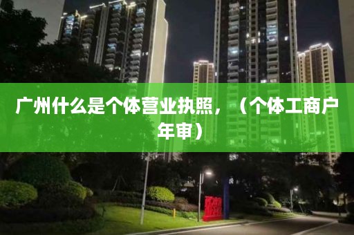 广州什么是个体营业执照，（个体工商户 年审）