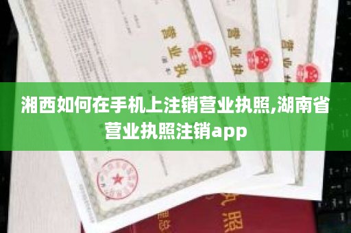 湘西如何在手机上注销营业执照,湖南省营业执照注销app