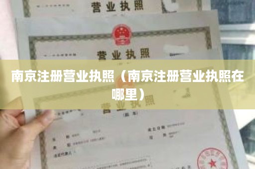 南京注册营业执照（南京注册营业执照在哪里）