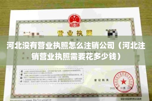 河北没有营业执照怎么注销公司（河北注销营业执照需要花多少钱）