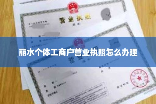 丽水个体工商户营业执照怎么办理