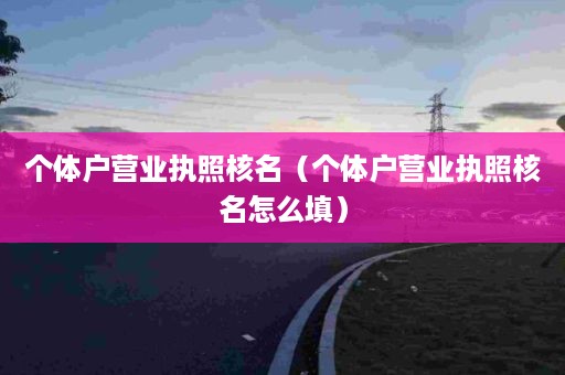 个体户营业执照核名（个体户营业执照核名怎么填）