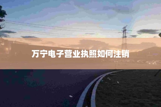 万宁电子营业执照如何注销