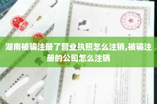 湖南被骗注册了营业执照怎么注销,被骗注册的公司怎么注销